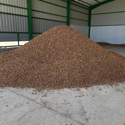 Almendra natural con cáscara – 5 kg